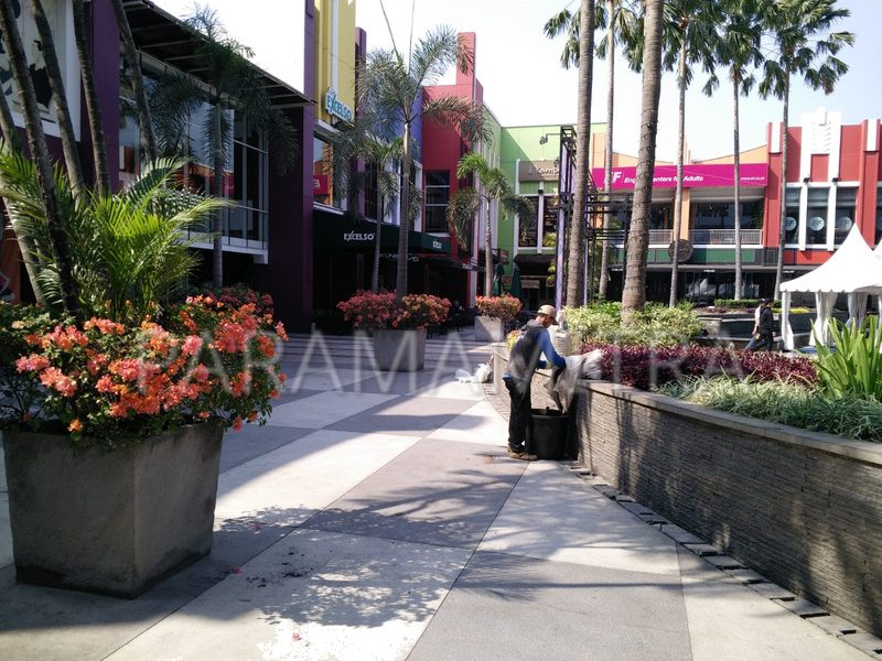 Komersial landscape project